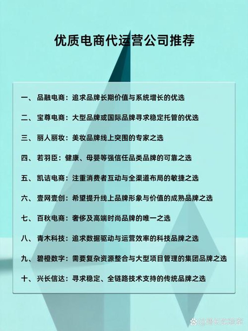 网店托管：在互联网时代实现商业梦想的新篇章